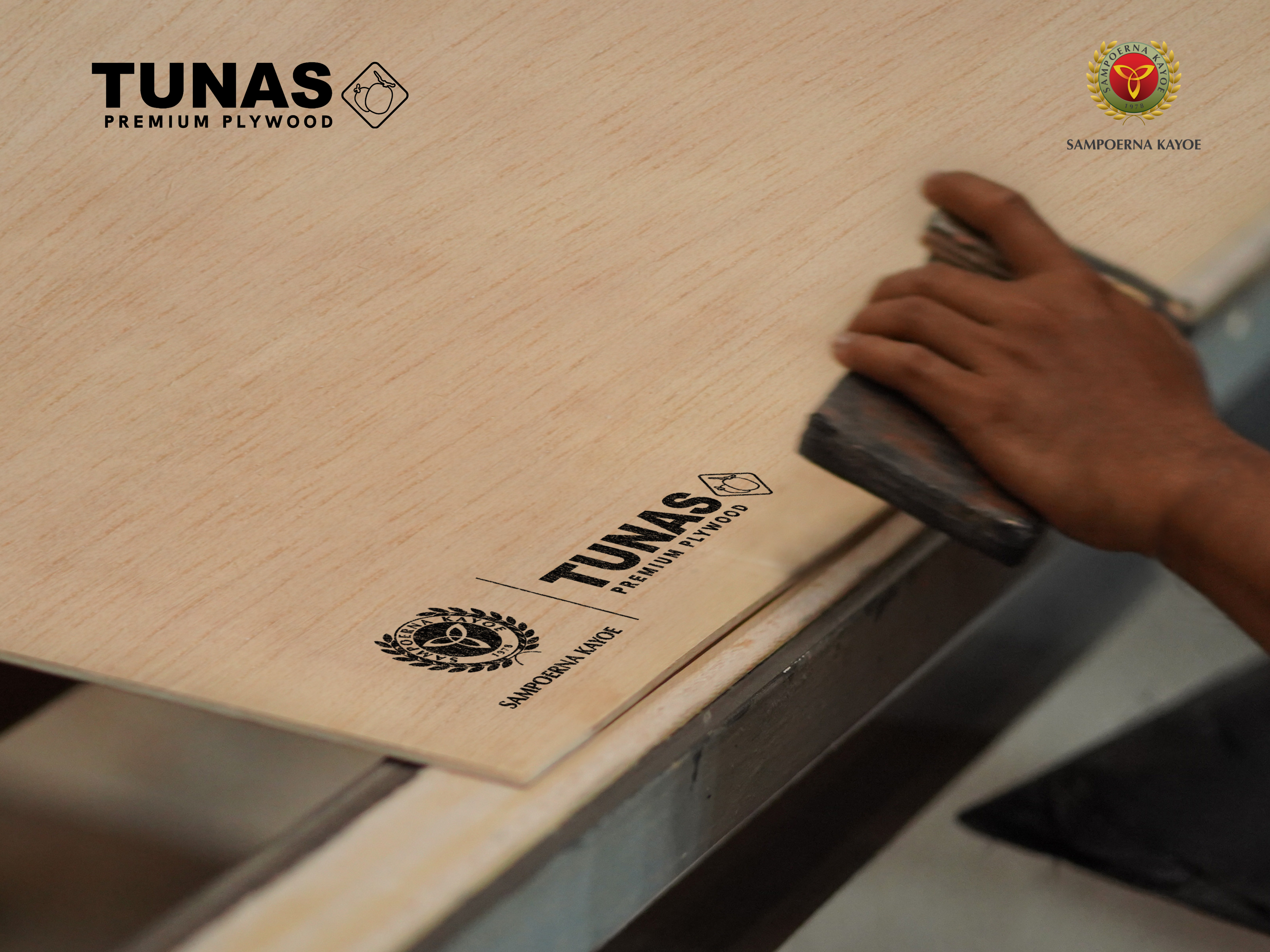 Sampoerna Kayoe Presents Tunas Premium Plywood: The Best Solution for Furniture Makers