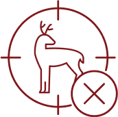 no hunting